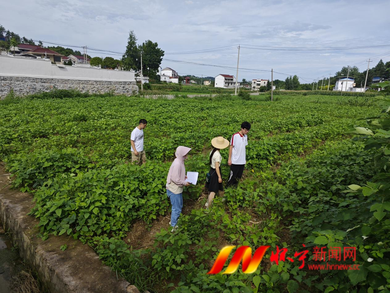 江镇镇：夏管正当时 助农促增收.png