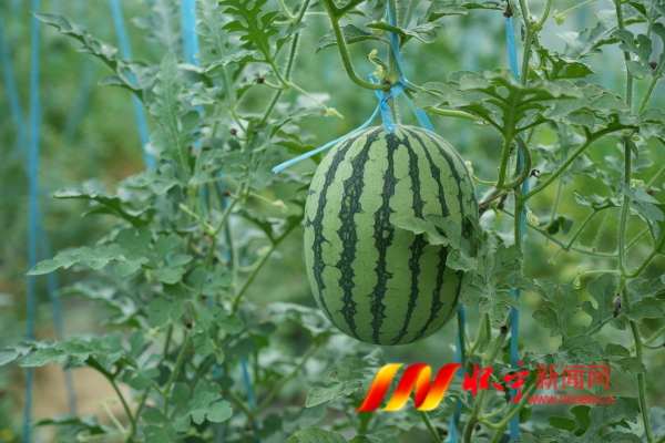 DSC08850.JPG