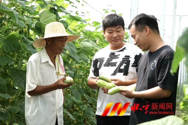 为蔬菜产业“把脉问诊”.JPG