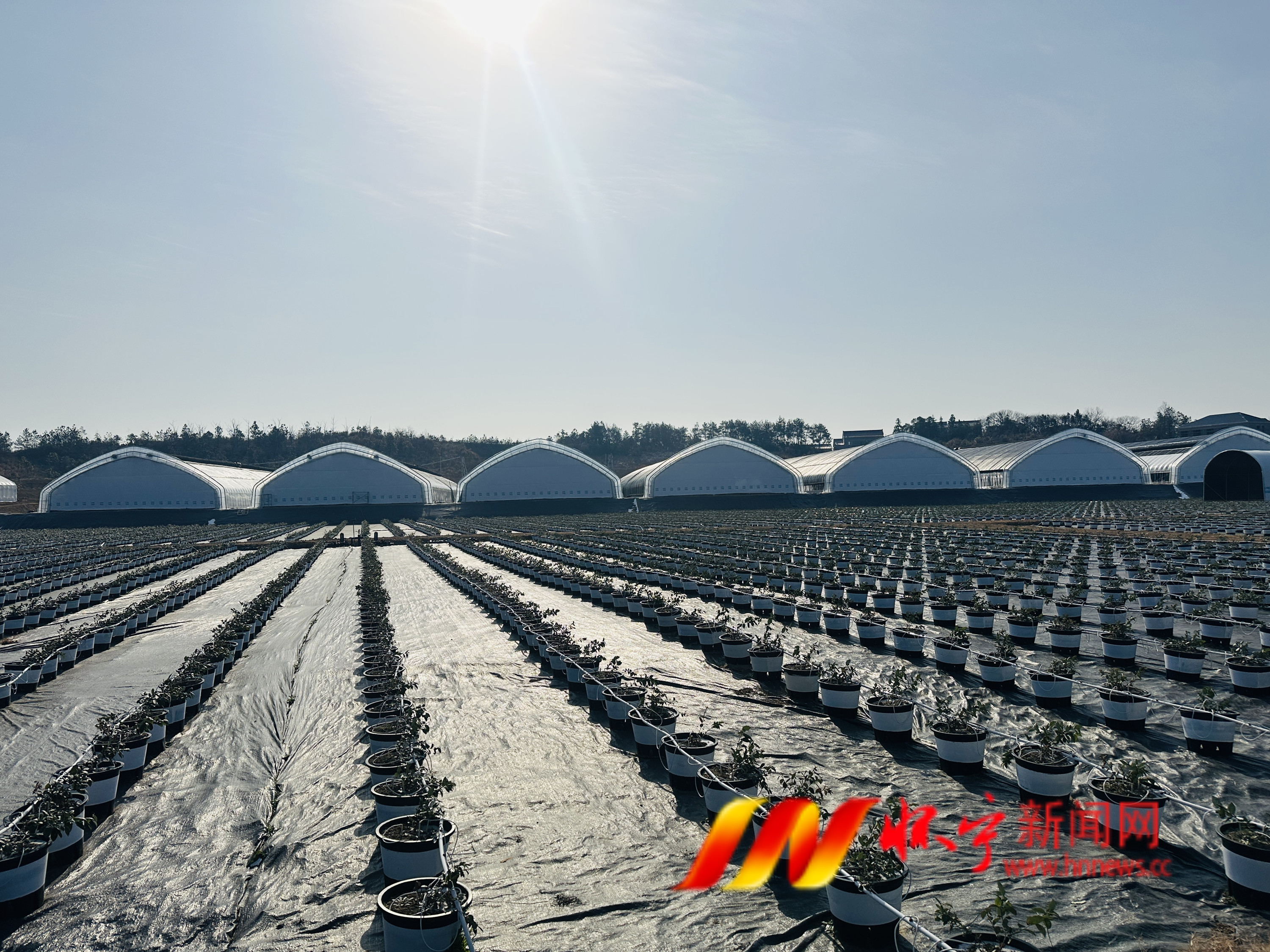 安徽怀宁：石牛映皖水 和美满乡村2.JPG