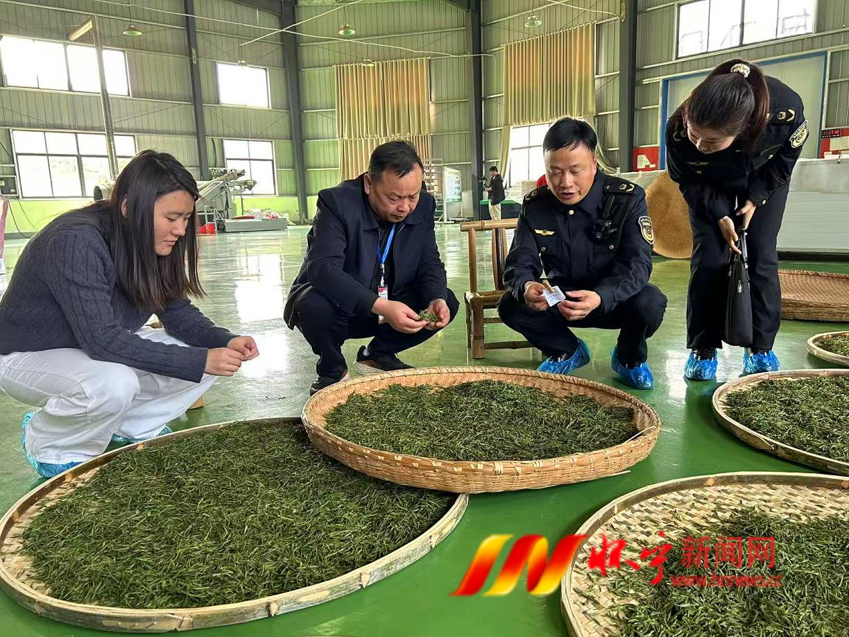 清河乡：守好茶香安全关 护航清河茶产业.png