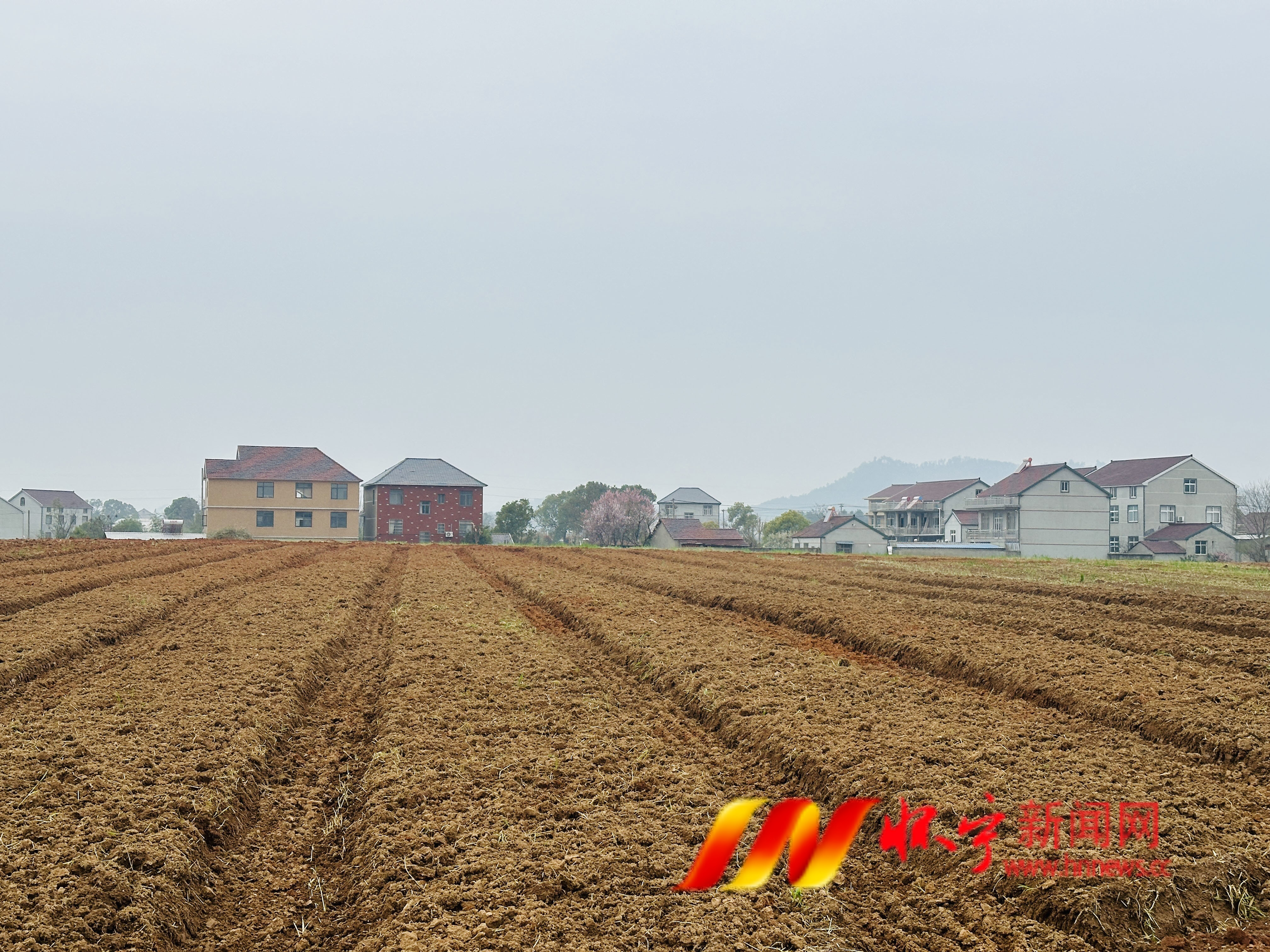 荒地变“宝地” 瓜苗成“富苗”.JPG