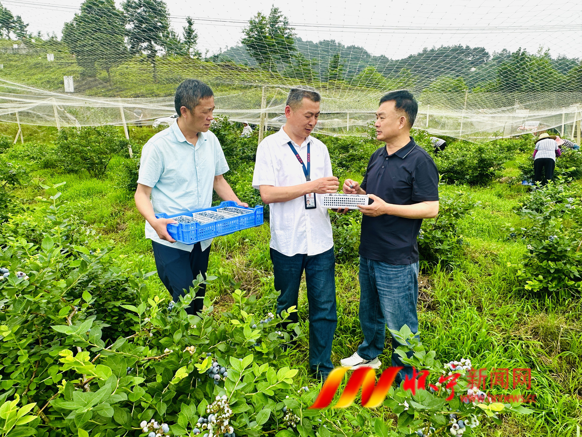 靠前监督护民生.JPG
