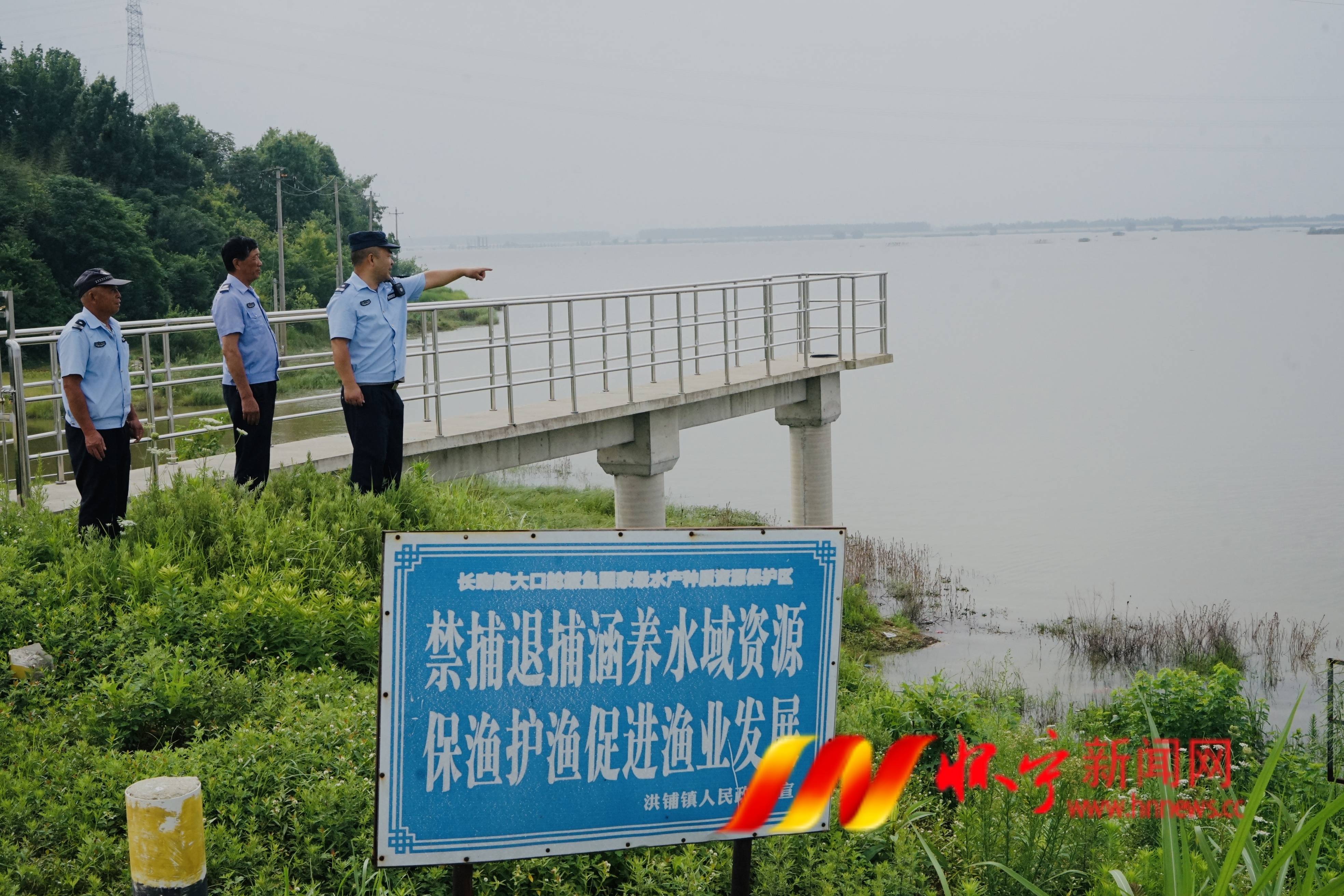 守护皖河碧水鱼群.JPG