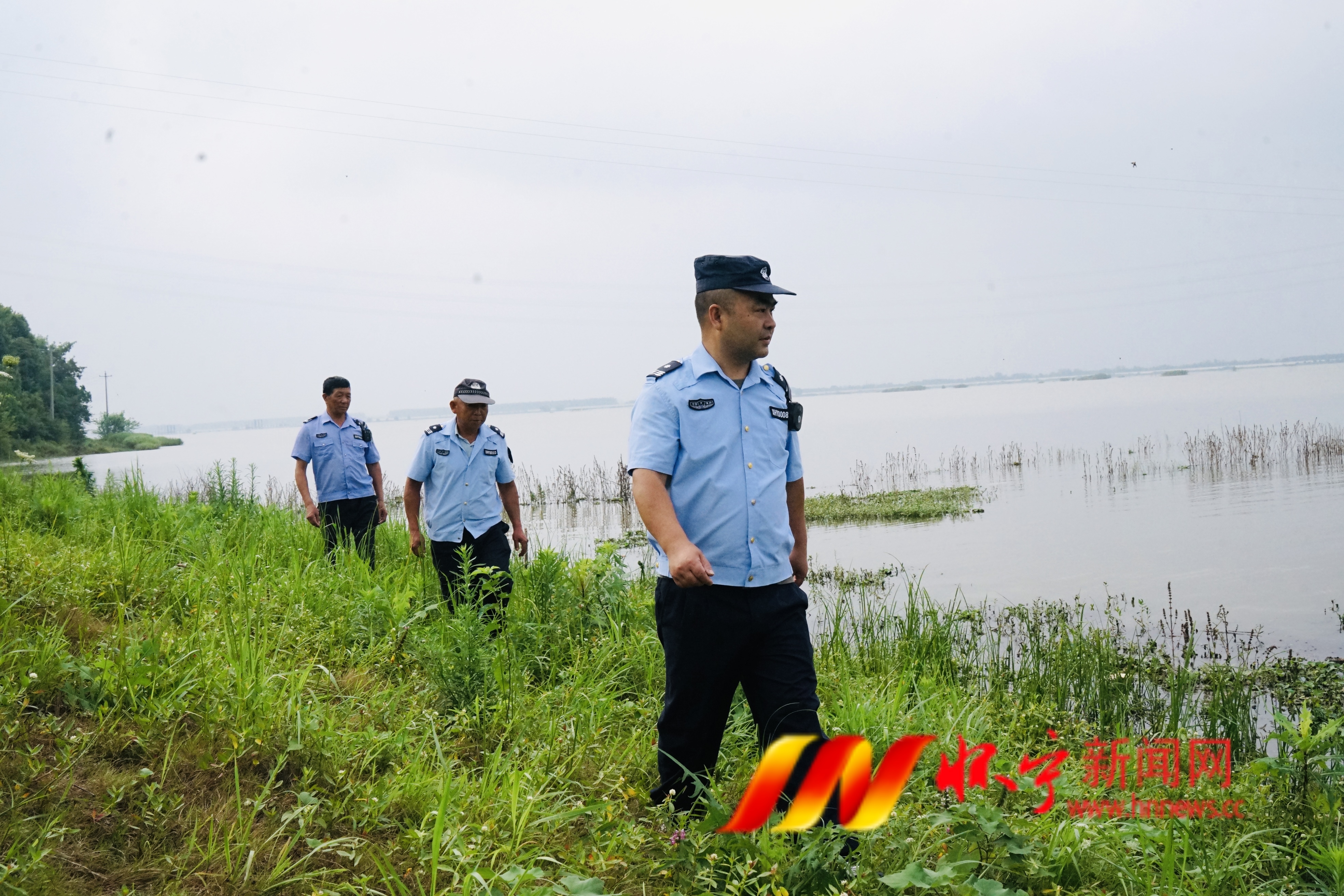 守护皖河碧水鱼群3.JPG